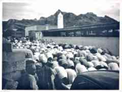 ���� ������ ��� ��� ����